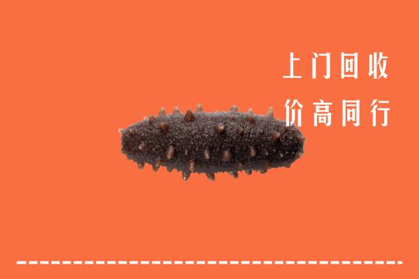 高价求购：深圳回收海参